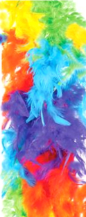 1.  Feather Boas  60gr - Rainbow   SPECIAL $3.50